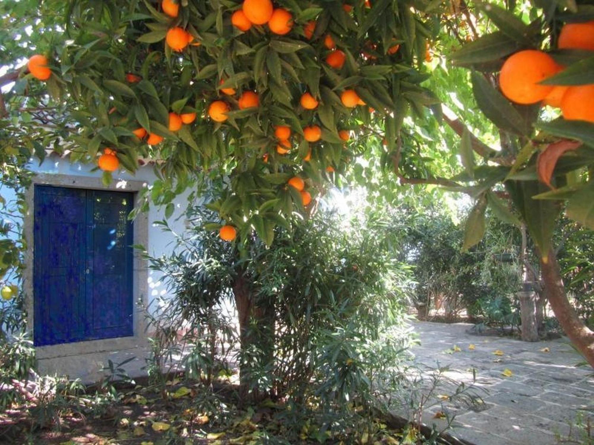 Apartmán Come In Sicily La Pietra Monaca Acireale Pokoj fotografie