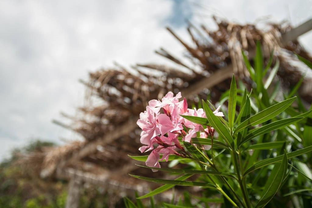 Apartmán Come In Sicily La Pietra Monaca Acireale Pokoj fotografie